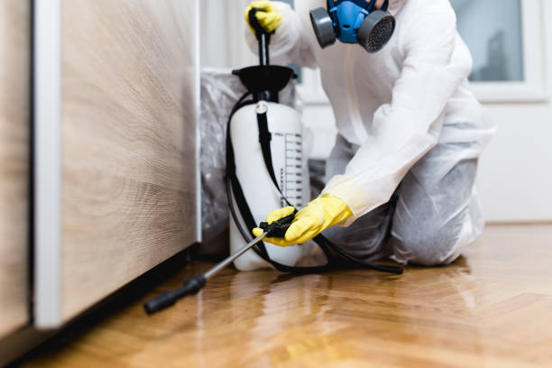 Flea Control Services in Morgans Point Resort, TX