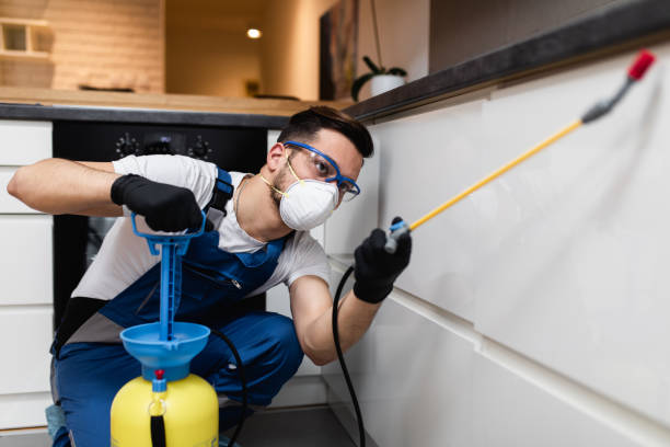 Best Wasp Removal Services  in Morgans Point Resort, TX