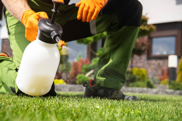 Best Termite Control Services  in Morgans Point Resort, TX