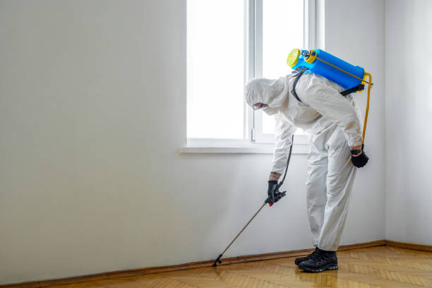 Best Wildlife Control Services  in Morgans Point Resort, TX