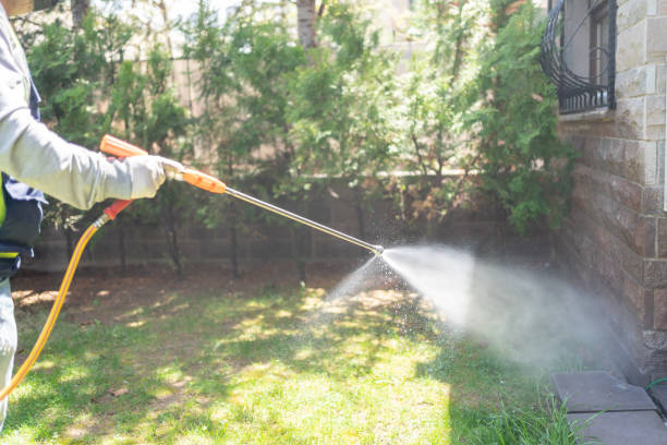 Best Pest Control Near Me  in Morgans Point Resort, TX