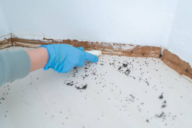 Best Cockroach Control Services  in Morgans Point Resort, TX